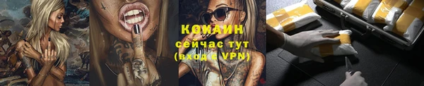 прущие грибы Навашино