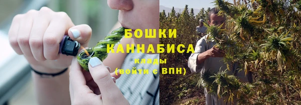 гашик Надым