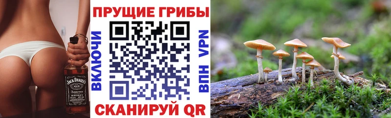 KRAKEN маркетплейс  Урень  Псилоцибиновые грибы Magic Shrooms 